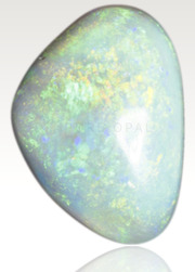 Sold dark opal green orange floral pattern