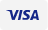 Visa card logo